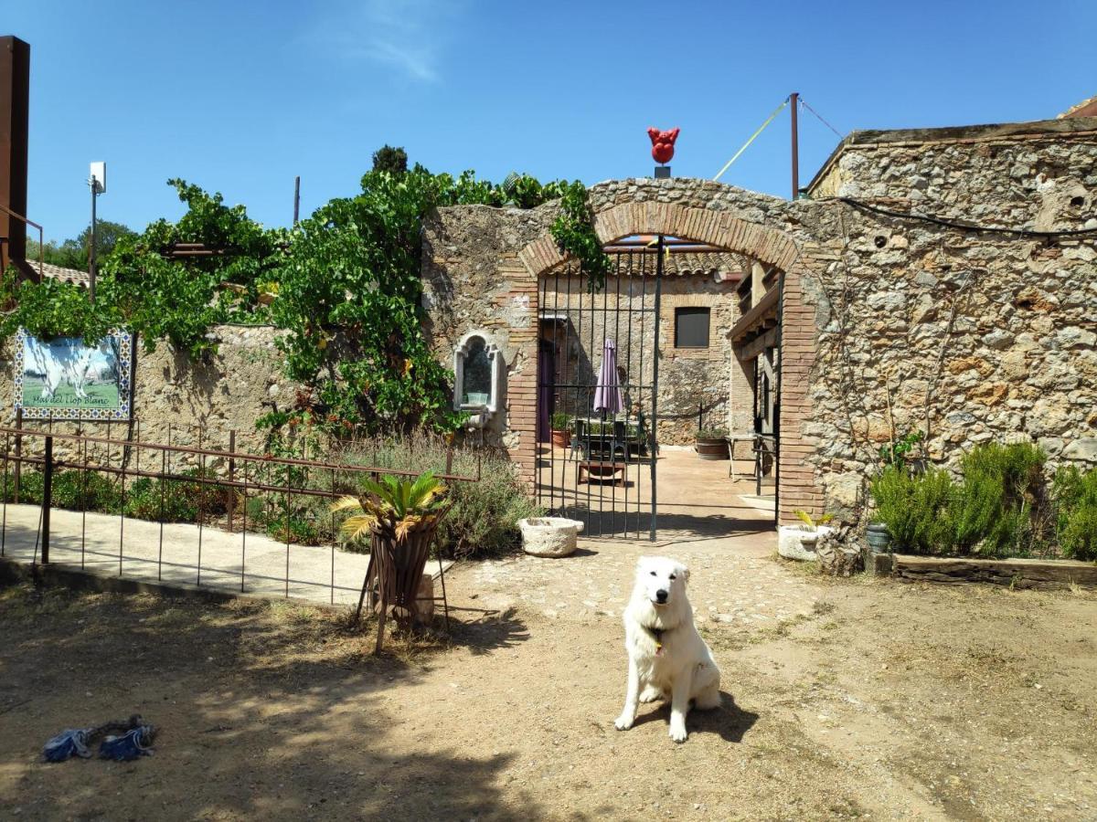 Mas Del Llop Blanc - Dog Friendly Hostal Rural - B&B Sobrestany Exterior photo